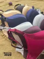 ⁦موديل براه بوش أب كود 3029⁩ - الصورة ⁦2⁩