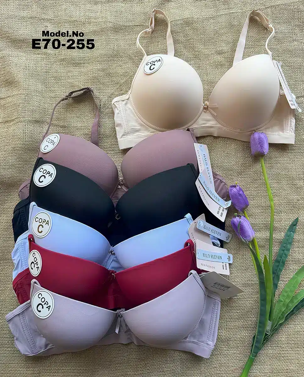 E70-255 موديل براه كود E70-255 - الصورة 1